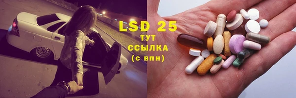 ГАЛЛЮЦИНОГЕННЫЕ ГРИБЫ Абаза