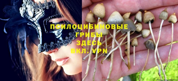 ГАЛЛЮЦИНОГЕННЫЕ ГРИБЫ Абаза
