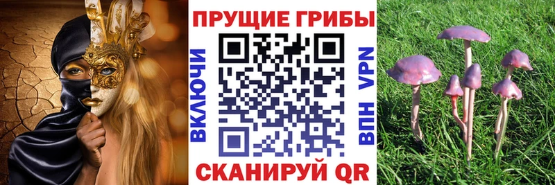 Псилоцибиновые грибы GOLDEN TEACHER  omg ссылки  Рассказово 